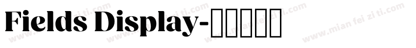 Fields Display字体转换